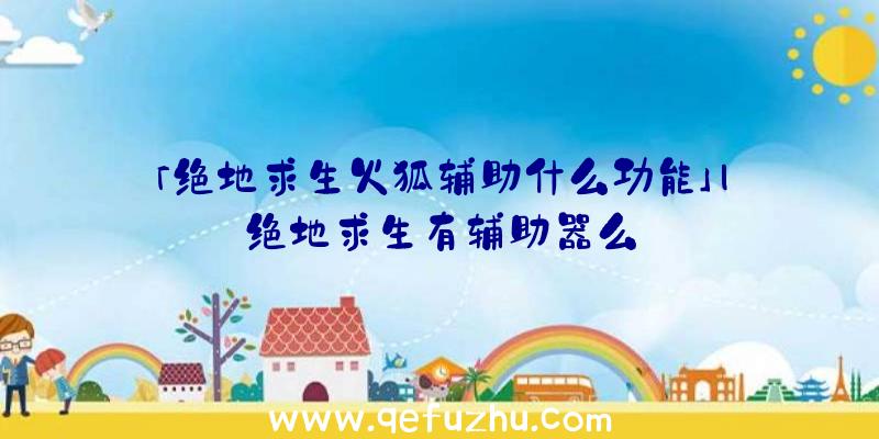 「绝地求生火狐辅助什么功能」|绝地求生有辅助器么
